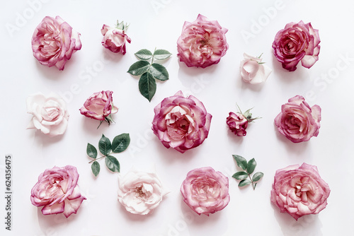 Summer floral pattern made of beautiful dark rose buds on white background. Nature concept. Minimal style. Top view. Flat lay