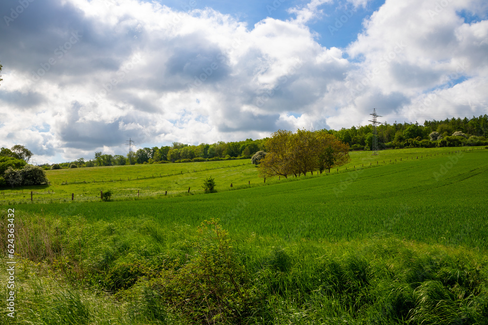 Panoramic shot over a grassy hill with white clouds Panoramic shot over a grassy hill with white clouds