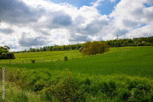 Panoramic shot over a grassy hill with white clouds