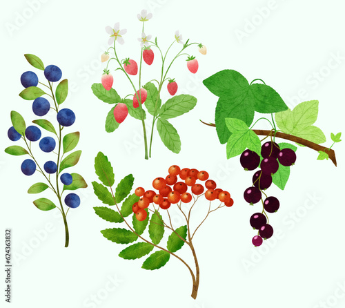 berry branch