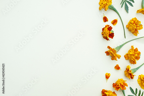 Autumn composition background . Vertical string of tagetes flowers on white paper .Top view, copy space, flat lay . © Photo