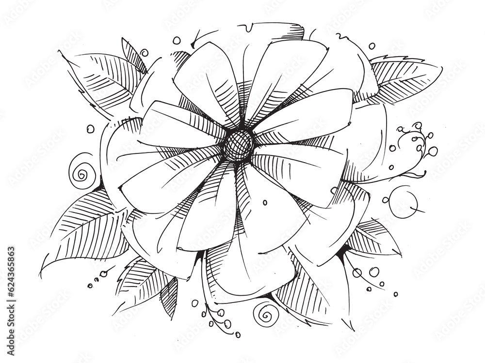 Flower. Floral composition. Line drawing of flowers. Wildflowers