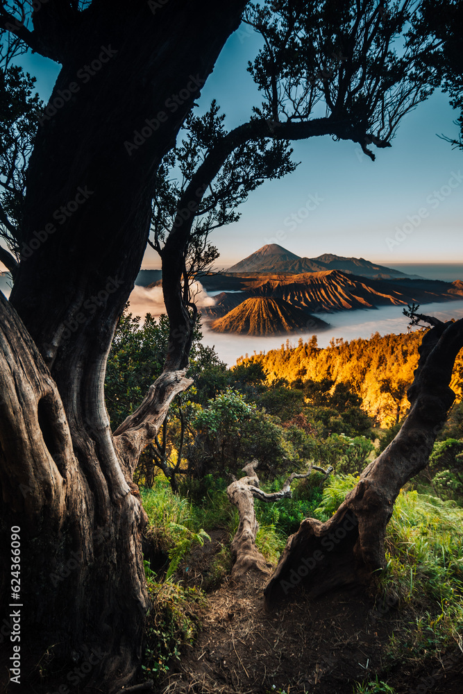 sunset in the mountains