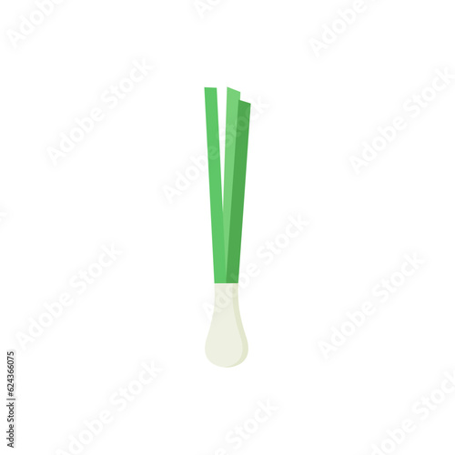 Green spring onions flat design vector illustration. Green onions  Allium. Salad onions  wild cherries  shallots  leeks  skoroda and Chinese onions. A herbaceous plant from the Onion family.