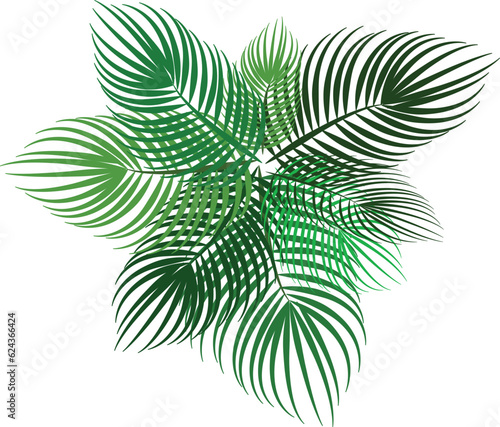 palm leaves pattern stock vector for fabric textile and wrapping wrapping