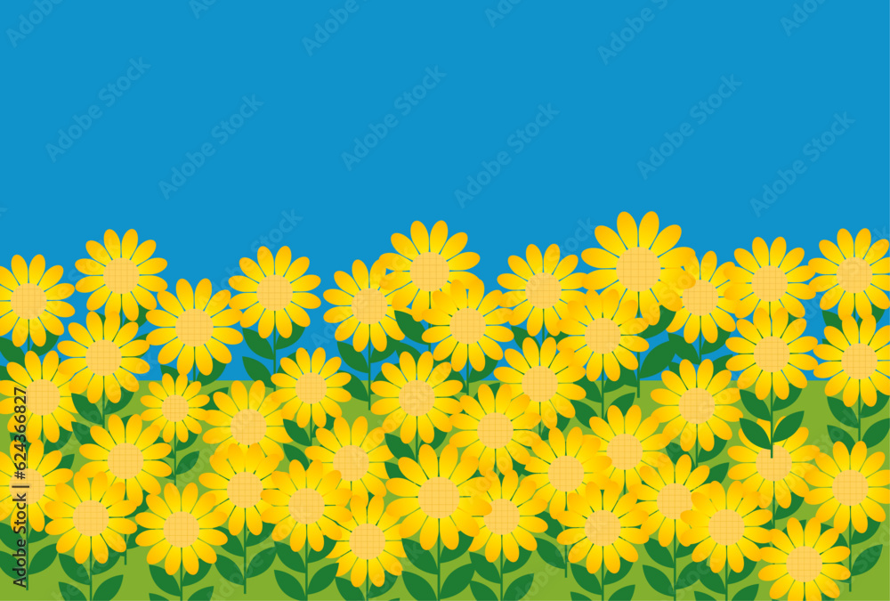 可愛い夏のひまわり畑 可愛い夏のひまわり畑