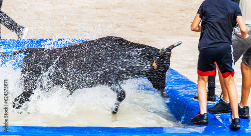 Jeu du taureau piscine  photo