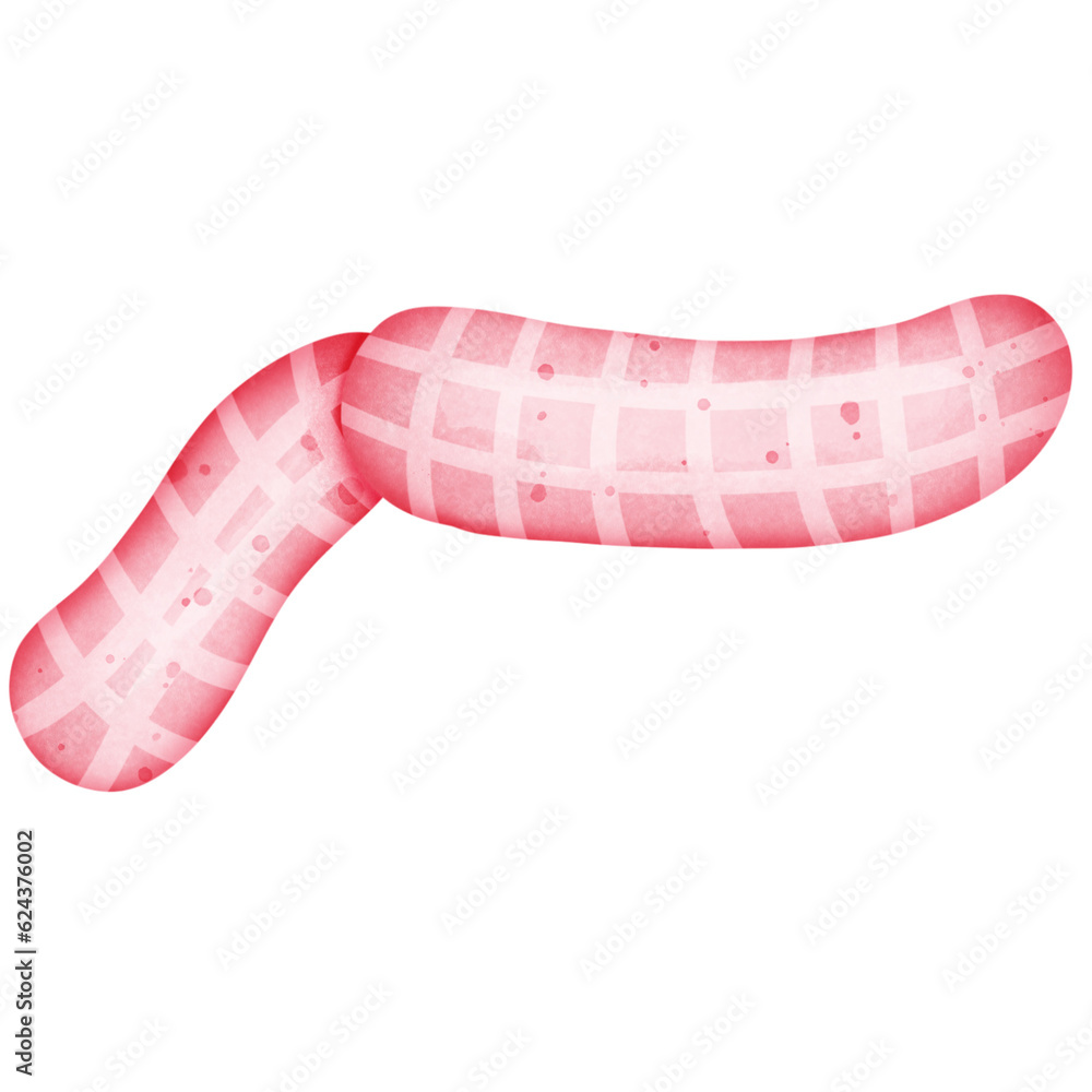 Single red line scarf christmas illustration Single red line scarf christmas illustration