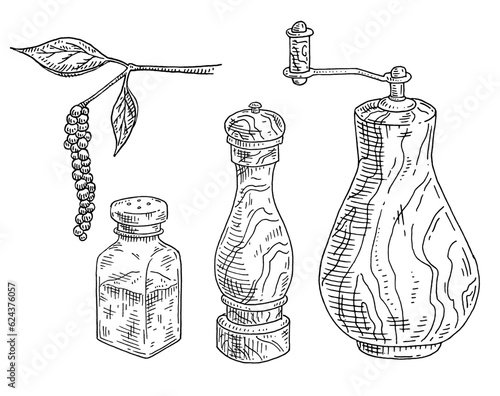 Wood mill, glass salt shaker, pepper plant with leaves and peppercorns. Vintage vector engraving