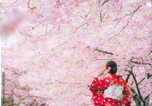 Asian woman wearing kimono with cherry blossoms,sakura in Japan.