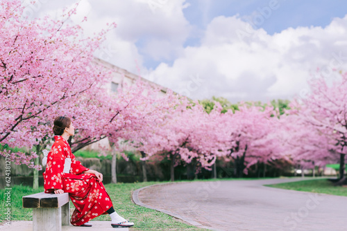 Photography Asian woman wearing kimono with cherry blossoms,sakura in Japan.
