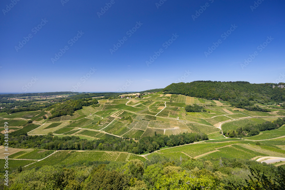 Vineyards near Chateau Chalon, Department Jura, Franche-Comte, France