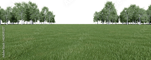 Realistic meadow and forest tree line. 3d rendering of isolated objects.