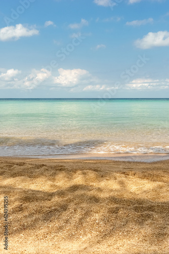 Tropical paradise idyllic sandy beach  palm leaf shadow  ocean wave on shore  clear turquoise sea water and blue sky with clouds in sunny day. Horizon over water. Natural nature background. Copy space