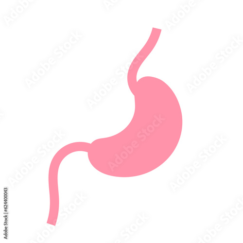 Human stomach illustration