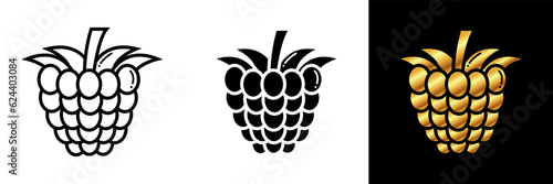 The Raspberry icon captures the vibrant and tangy nature of this delicious fruit. With its rich red color and distinctive shape, the Raspberry icon represents sweetness and freshness.