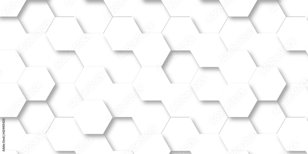 Background with white and black lines 3d Hexagonal structure futuristic white background and Embossed Hexagon , honeycomb white Background ,light and shadow ,Vector. Background with white and black lines 3d Hexagonal structure futuristic white background and Embossed Hexagon , honeycomb white Background ,light and shadow ,Vector.