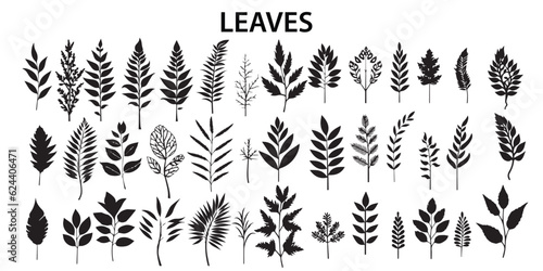 Set of silhouette leaves. Different leaves in different design ornament silhouette vector collection.