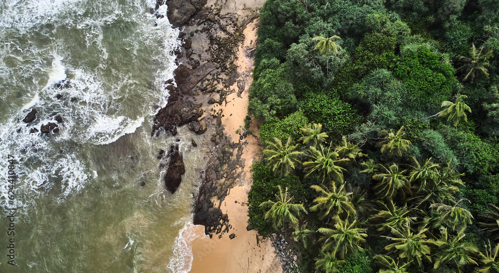 Aerial view of the beach with palm trees. Sri-lanka, Matara. High quality photo