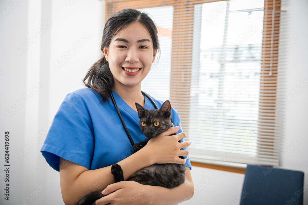 Vet surgeon. Cat on examination table of veterinarian clinic. Veterinary care. Vet doctor and cat Vet surgeon. Cat on examination table of veterinarian clinic. Veterinary care. Vet doctor and cat