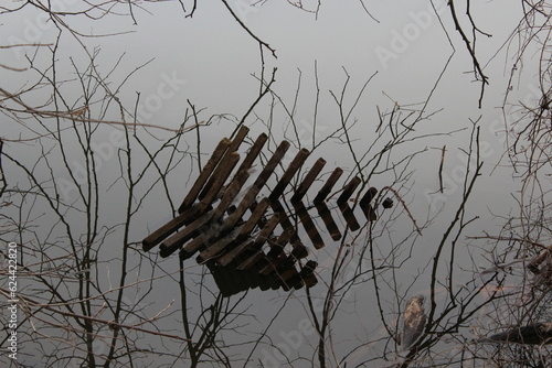 Εκτύπωση καμβά Partially Submerged Fencing