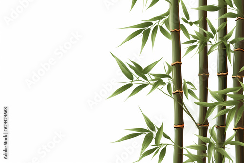 bamboo or bamboo shoots