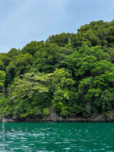 Inaccessible tropical island overgrown with lush green tropical vegetation