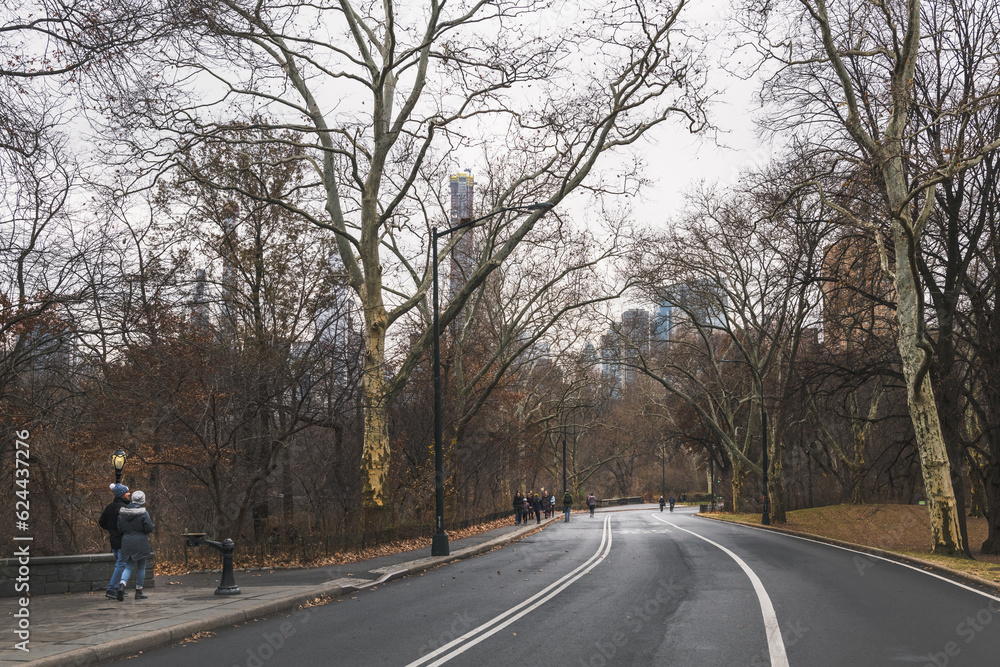 Group of people strolling and walking, through an internal street to Central Park, New York
