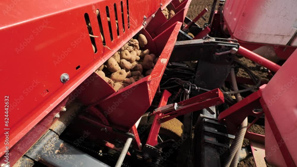 Planting potatoes with a potato planter, close-up. Sprouted seed potatoes Planting potatoes with a potato planter, close-up. Sprouted seed potatoes