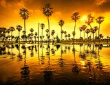 Palm Reflex Water Sunset Beach