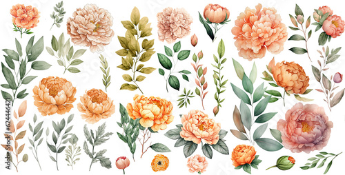 Canvas Print Set of peonies flower yellow orange color Watercolor, spring collection of hand drawn flowers , Botanical plant illustration , elegant watercolor ,transparent background, PNG