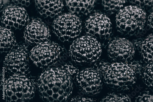 Black raspberries closeup. Macro shot. Heap of fresh ripe and sweet raspberries. 