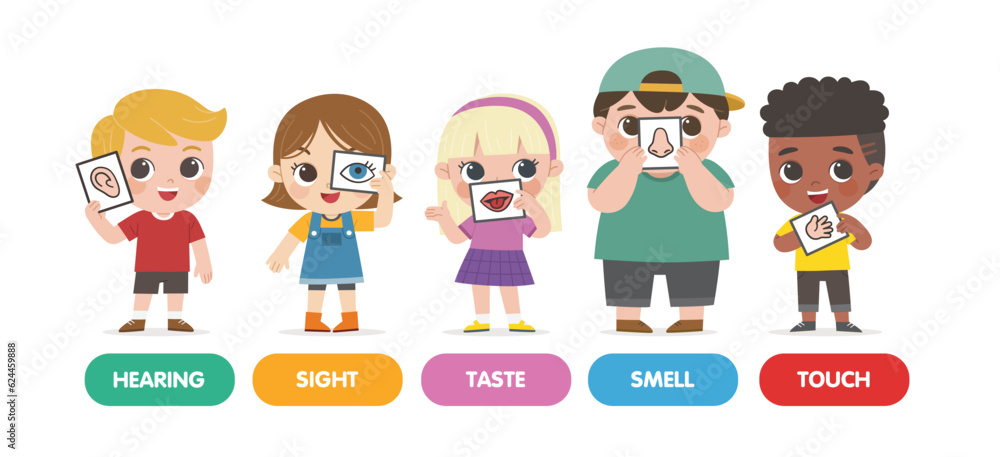 Five Senses Concept With Human Organs. Kids showing five senses set. Sense of sight, touch, hear, smell, taste.