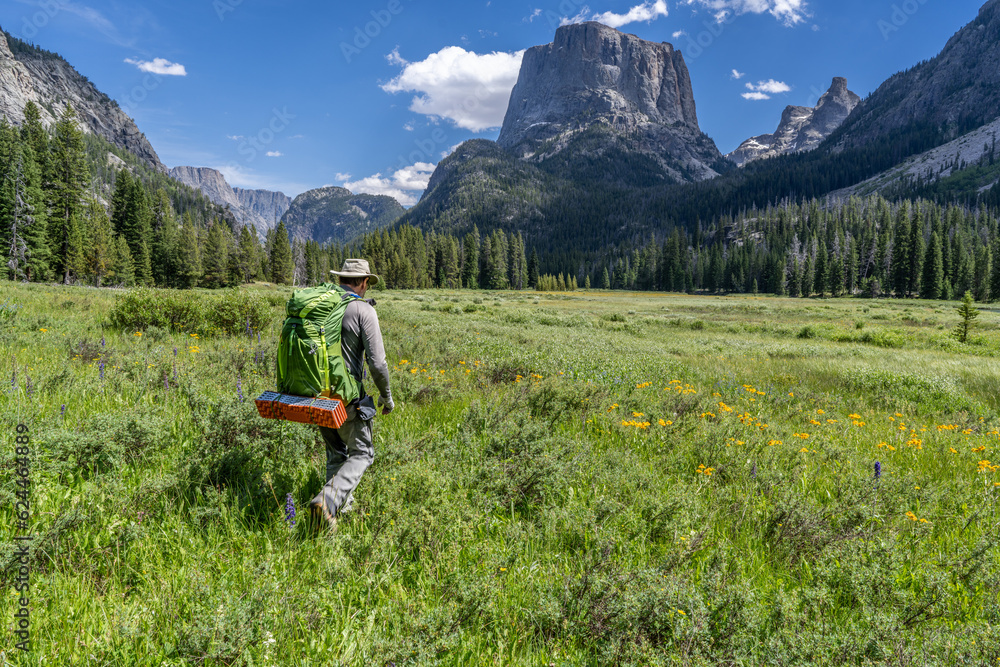 Matured Caucasian man, hiker, walking through a field of wildflowers and green grass in a scene of rugged mountains, Wind River Range, Wyoming Matured Caucasian man, hiker, walking through a field of wildflowers and green grass in a scene of rugged mountains, Wind River Range, Wyoming