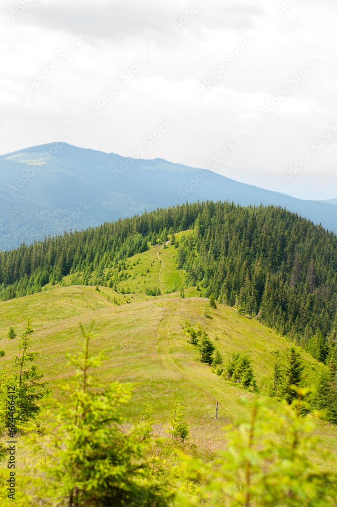 Obraz premium landscape in the mountains, the path to the top, the forest on the top, tourism, travel, the beauty of nature, conquest