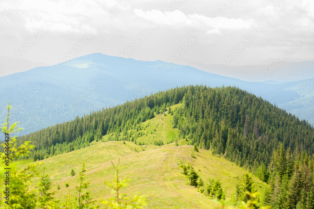 landscape in the mountains, the path to the top, the forest on the top, tourism, travel, the beauty of nature, conquest