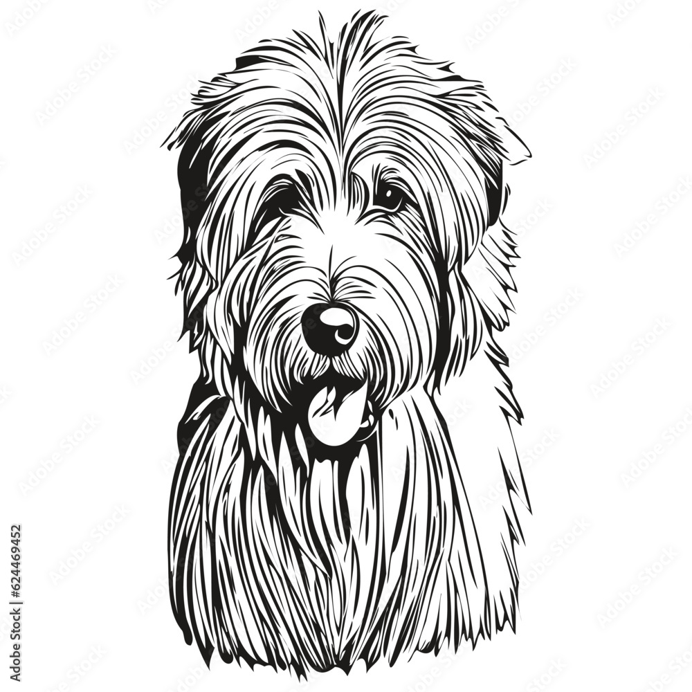 Old English Sheepdog dog outline pencil drawing artwork, black