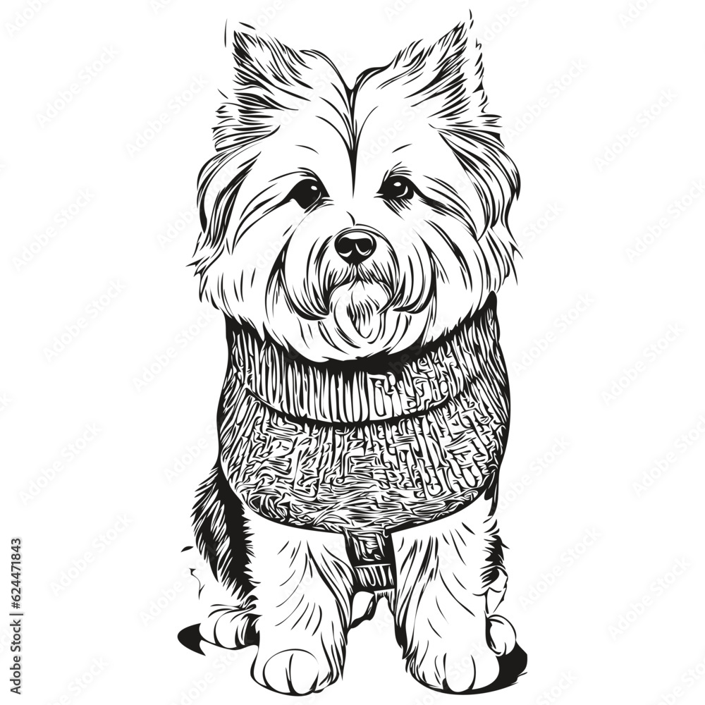 Coton de Tulear dog ink sketch drawing, vintage tattoo or t shirt print