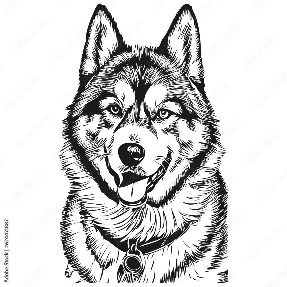 Malamute dog pet sketch illustration, black and white engraving vector Malamute dog pet sketch illustration, black and white engraving vector