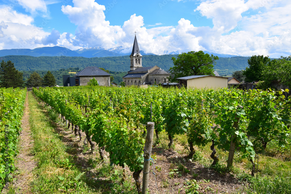 
Church tower and snow capped mountain top in distant with vineyards of the Savoie region in the French alps and Massif des Bauges