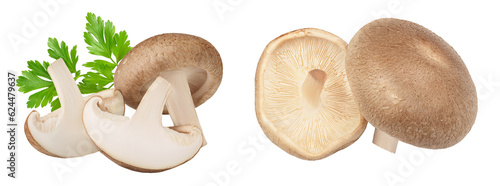 Fresh Shiitake mushroom isolated on white background with full depth of field.