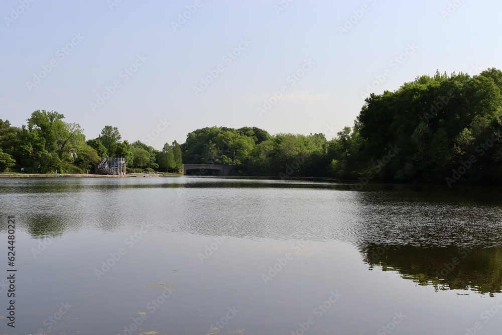 Fototapeta premium The lake in the countryside on a sunny day.