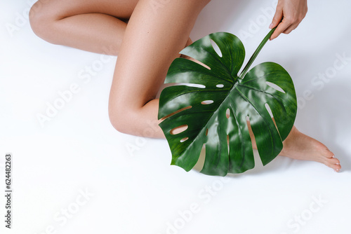 Closeup of female legs and  swiss cheese plant leaf