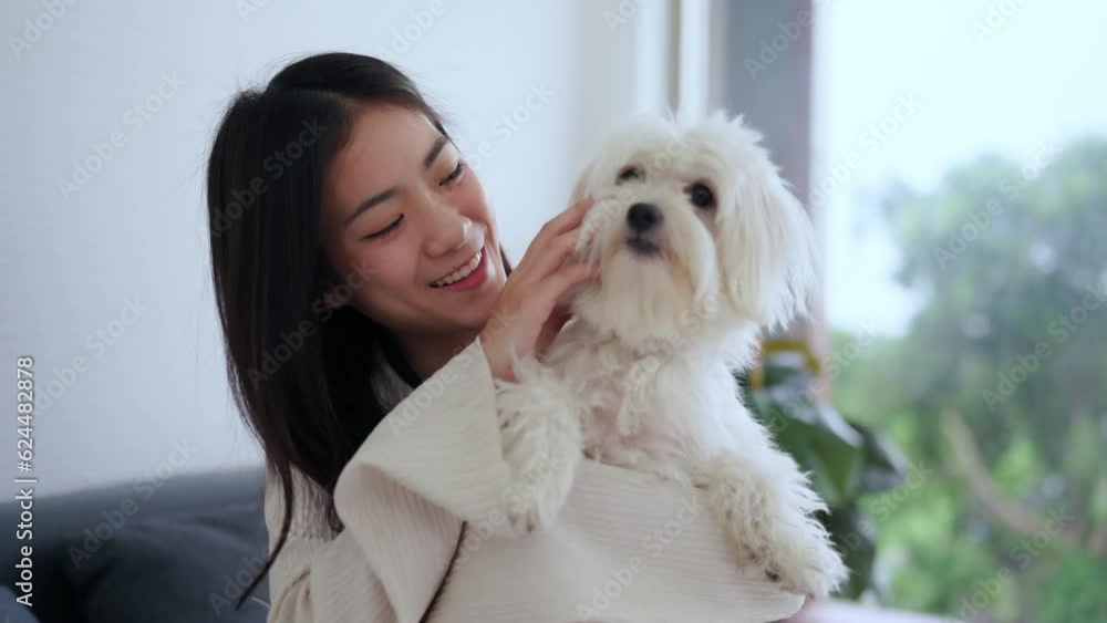 Loving moments: An Asian woman finds relaxation and playful joy as she spends quality time with her furry companion in the cozy confines of their bedroom. A delightful illustration of the bond between Loving moments: An Asian woman finds relaxation and playful joy as she spends quality time with her furry companion in the cozy confines of their bedroom. A delightful illustration of the bond between