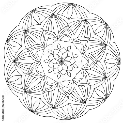 Flower mandala picture  white background. ethnic decorative elements