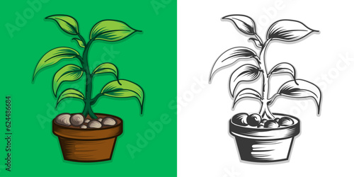  plant for gardening vector design