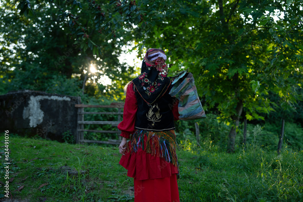 Woman Picking Tea in the Tea Garden Drone Photo, Tirebolu Giresun, Rize Turkey (Turkiye) Woman Picking Tea in the Tea Garden Drone Photo, Tirebolu Giresun, Rize Turkey (Turkiye)