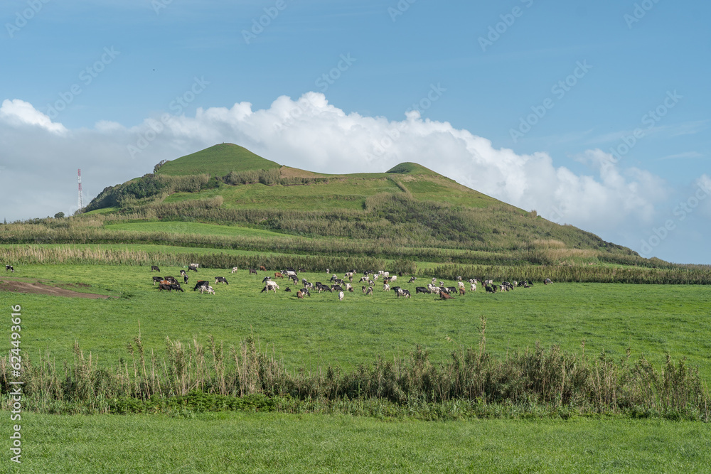 Green hills on the beautiful island Sao Miguel Island in the Azores. 