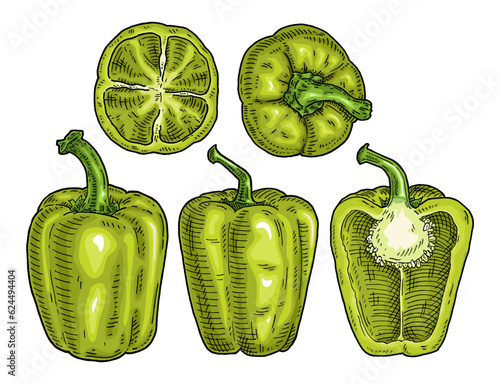 Whole and half green sweet bell peppers. Vintage engraving vector black illustration.