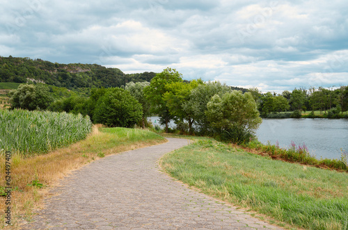 Landscape with a bicycle path or sidewalk at the river Moselle in Trier, rhineland palatine in Germany, summer at the valley 